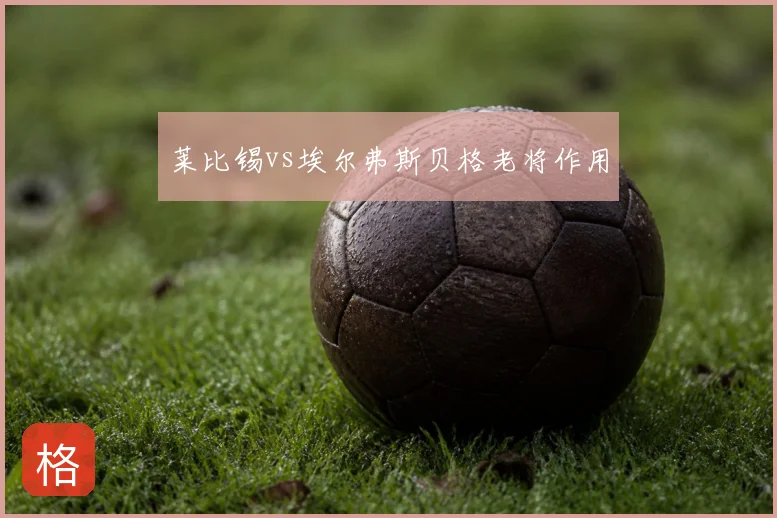 莱比锡vs埃尔弗斯贝格老将作用